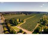 13750 Locks Loop Rd - Photo 3