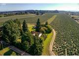 13750 Locks Loop Rd - Photo 4