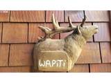 2050 Overleaf Loop - Photo 7