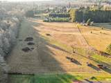  Collins Rd - Photo 8