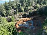 98215 Sunforest Ct - Photo 10