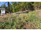 236 Sophie Ln - Photo 13