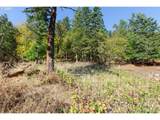 236 Sophie Ln - Photo 28