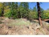 236 Sophie Ln - Photo 29