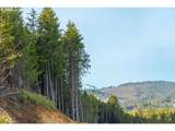 0 S. Hwy 101 - Photo 13