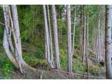 0 S. Hwy 101 - Photo 16