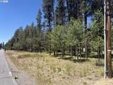 17386 Golden Eye Dr - Photo 4