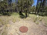 17386 Golden Eye Dr - Photo 5