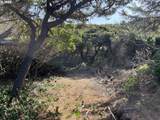  Shoreline Loop - Photo 10