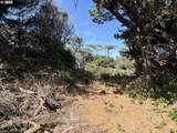  Shoreline Loop - Photo 11