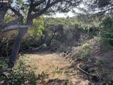  Shoreline Loop - Photo 12