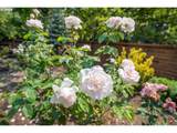 10160 Century Oak Dr - Photo 41
