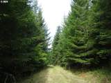 0 Bellinger Scale (1) Rd - Photo 1