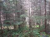 0 Bellinger Scale (1) Rd - Photo 3