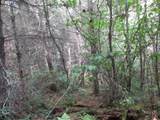 0 Bellinger Scale (1) Rd - Photo 4