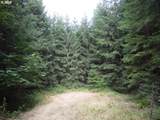 0 Bellinger Scale (1) Rd - Photo 5