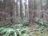 0 Bellinger Scale (1) Rd - Photo 6