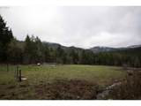 6228 Upper Cow Creek Rd - Photo 40