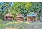 26901 Saint Helens Rd - Photo 39