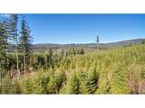 3 Jones Creek Rd - Photo 18