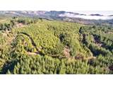 3 Jones Creek Rd - Photo 4