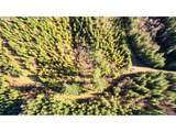 3 Jones Creek Rd - Photo 5