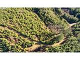 3 Jones Creek Rd - Photo 6