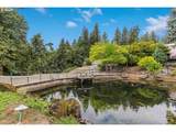 22396 Parrot Creek Rd - Photo 13