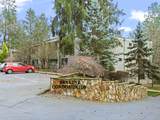 1500 Skyline Blvd - Photo 1
