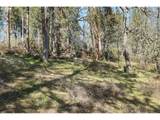  Secluded Way - Photo 9