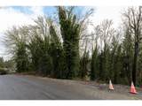 0 Maple Dr - Photo 1