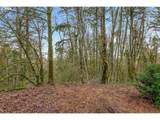 0 Summitview Dr - Photo 5