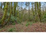 0 Summitview Dr - Photo 6
