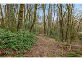 0 Summitview Dr - Photo 8