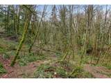 0 Summitview Dr - Photo 9