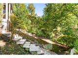 2118 Mill Pond Rd - Photo 36