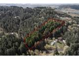  Rodgers Mountain Loop - Photo 1