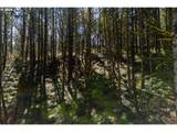  Rodgers Mountain Loop - Photo 4