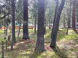 0 Wallowa Lake Highway - Photo 6