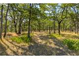 10 Canyon Rd - Photo 17