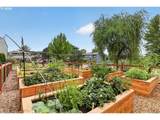 24002 Treehill Dr - Photo 39