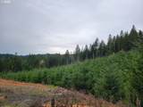  Gowdyville Rd - Photo 6