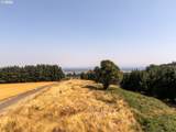 53 Franquette - Photo 24