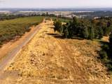 53 Franquette - Photo 27