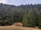 39935 Layng Creek Rd - Photo 7