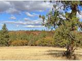 471 Woodland Rd - Photo 14