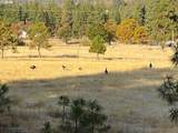 471 Woodland Rd - Photo 6