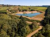  Westview Ln - Photo 8