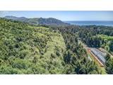  Hwy 101 - Photo 4