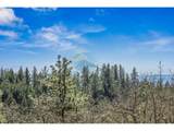  Secluded Way - Photo 1